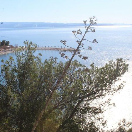 ספליט Paradise Apartment With Big Sunny Terrace In The Old Town, Few Meters From The Sea & Riva Promenade מראה חיצוני תמונה